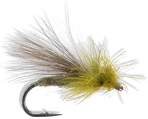 CDC Caddis - Olive
#12-18