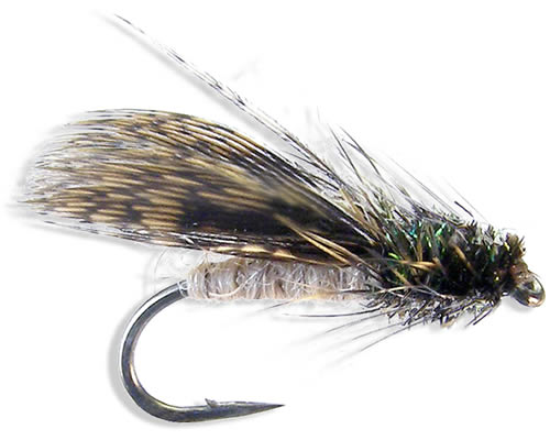 Spent Partridge Caddis
#12-16