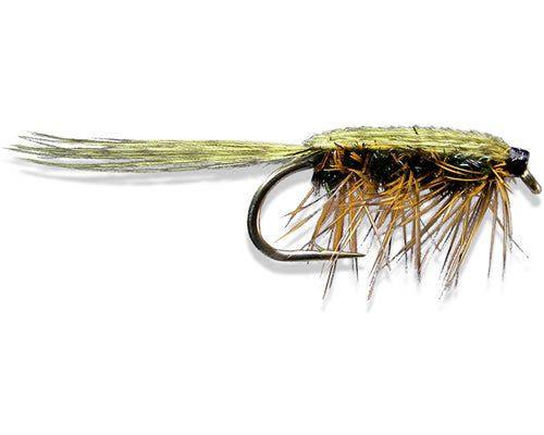 Rickards' Callibaetis Nmph - Olive - Peacock
#10-14