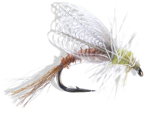 CDC Winged Emerger - PMD
#14-18