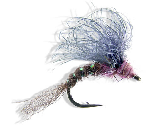 Snowshoe Emerger - Hendrickson
#12-14