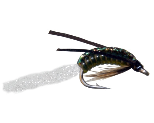 Overlay's Water Boatman