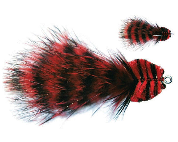 Barred Marabou Toad - Red/Black