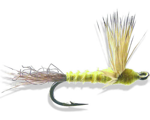 Sparkle Dun-Sulpher/Sulphur
#14-18