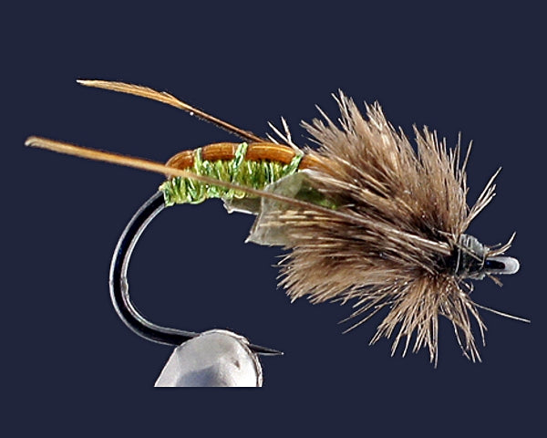 Krueger's Poudre Pupa