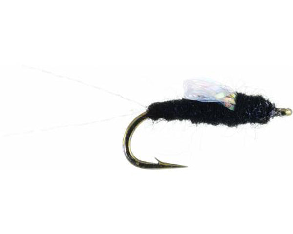 Sparkle Wing RS2 - Black